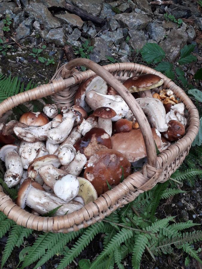 Casa Vacanza Da Ghislin Teglio Zewnętrze zdjęcie