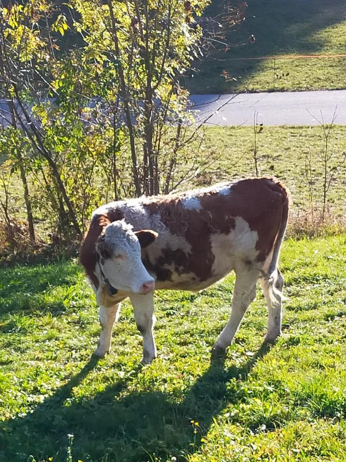 Casa Vacanza Da Ghislin Teglio Zewnętrze zdjęcie