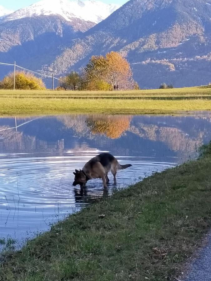 Casa Vacanza Da Ghislin Teglio Zewnętrze zdjęcie