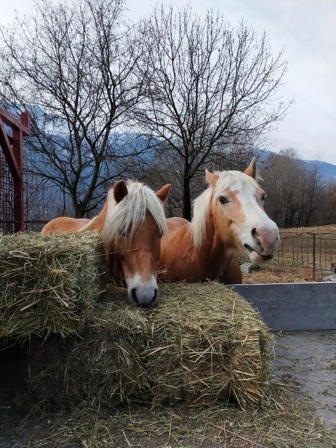 Casa Vacanza Da Ghislin Teglio Zewnętrze zdjęcie